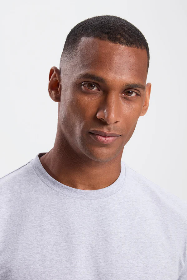 THE REGULAR GREY T-SHIRT